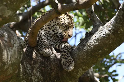 DSC_3967 (Large).JPG